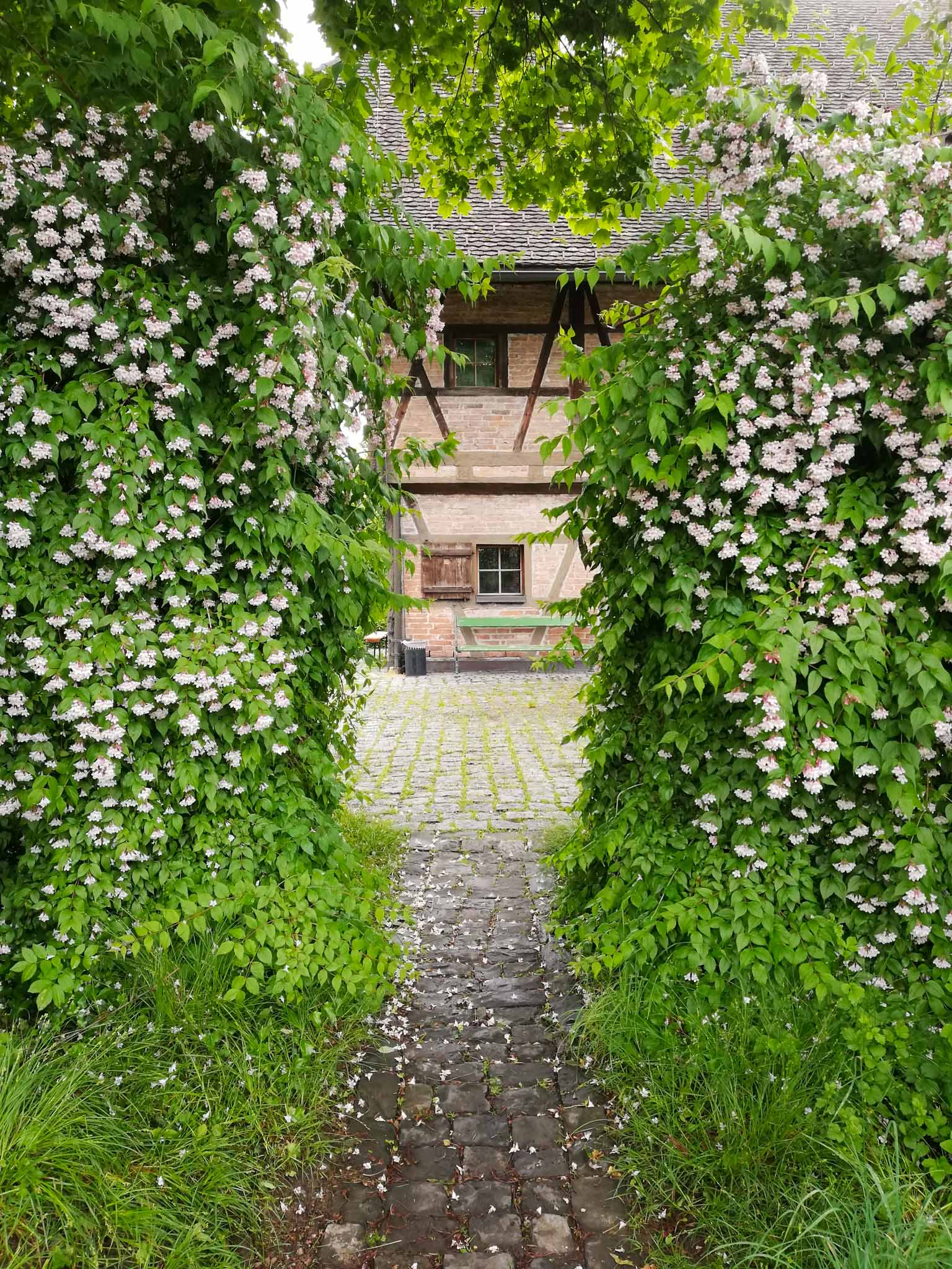 Garten Hostel Feldkirch