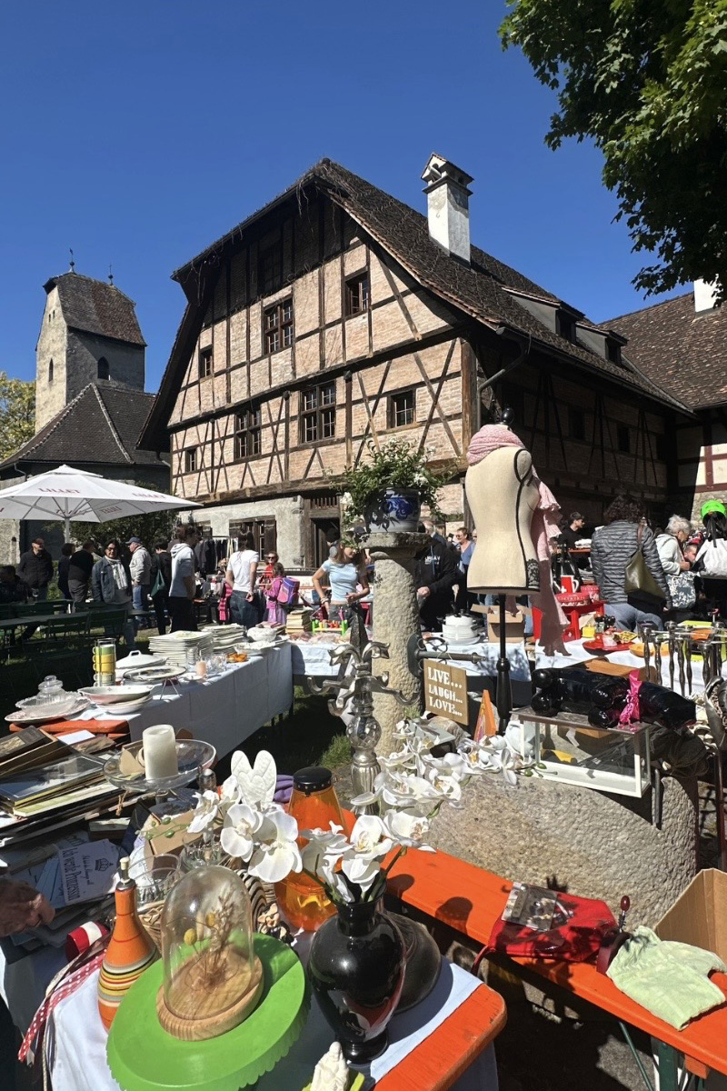 Ausblick vom Montforthaus Dach Richtung Schattenburg in Feldkirch